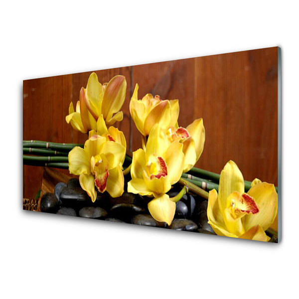 Tableaux sur verre Pierres fleurs floral jaune noir