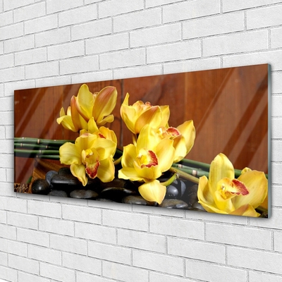 Tableaux sur verre Pierres fleurs floral jaune noir