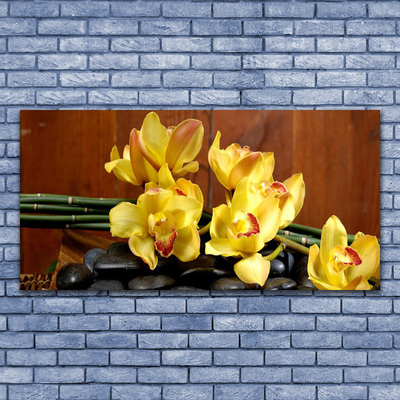 Tableaux sur verre Pierres fleurs floral jaune noir