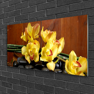 Tableaux sur verre Pierres fleurs floral jaune noir