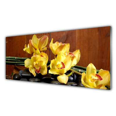 Tableaux sur verre Pierres fleurs floral jaune noir