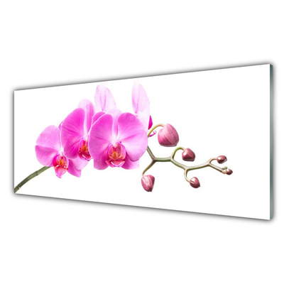 Tableaux sur verre Fleurs floral rose