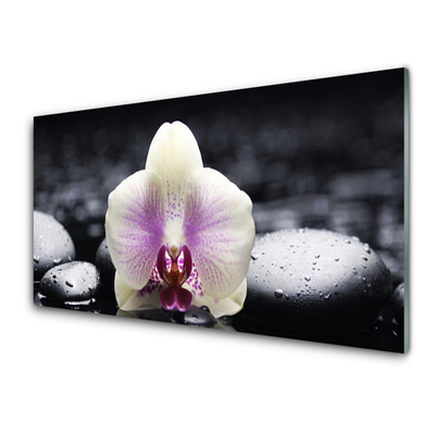 Tableaux sur verre Pierres fleurs floral rose blanc noir