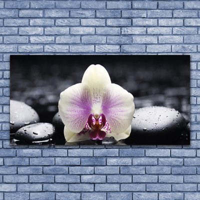 Tableaux sur verre Pierres fleurs floral rose blanc noir