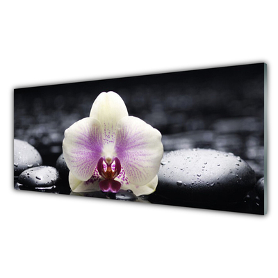 Tableaux sur verre Pierres fleurs floral rose blanc noir