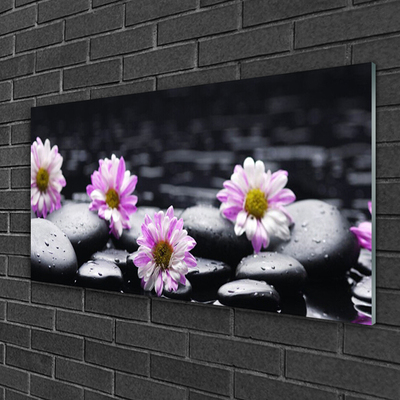 Tableaux sur verre Fleurs pierres floral rose blanc noir