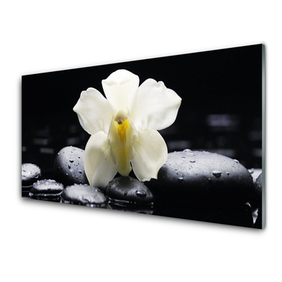 Tableaux sur verre Fleurs pierres floral blanc noir