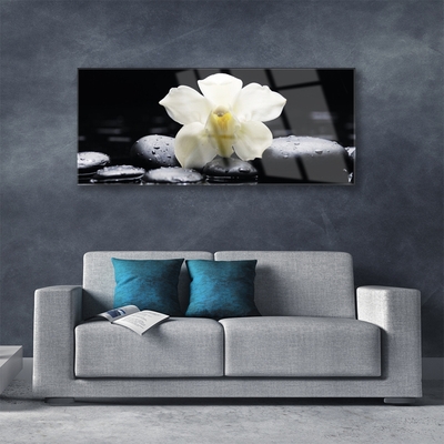 Tableaux sur verre Fleurs pierres floral blanc noir