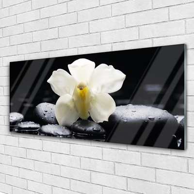 Tableaux sur verre Fleurs pierres floral blanc noir