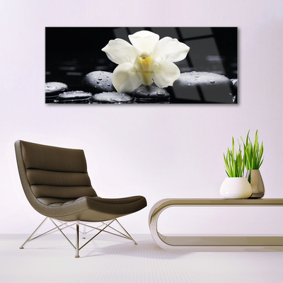 Tableaux sur verre Fleurs pierres floral blanc noir