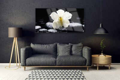 Tableaux sur verre Fleurs pierres floral blanc noir