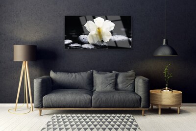 Tableaux sur verre Fleurs pierres floral blanc noir