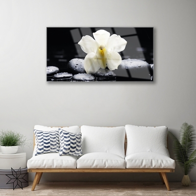 Tableaux sur verre Fleurs pierres floral blanc noir