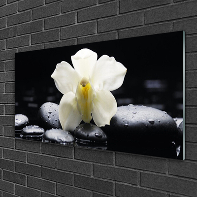 Tableaux sur verre Fleurs pierres floral blanc noir