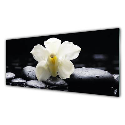 Tableaux sur verre Fleurs pierres floral blanc noir