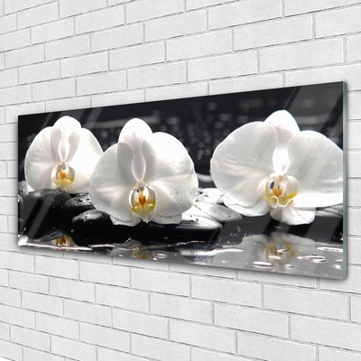 Tableaux sur verre Pierres fleurs floral blanc noir