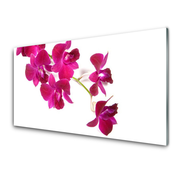 Tableaux sur verre Fleurs floral rouge