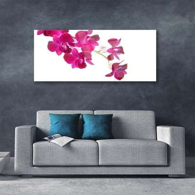 Tableaux sur verre Fleurs floral rouge