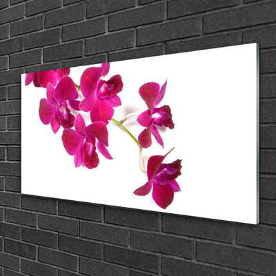 Tableaux sur verre Fleurs floral rouge