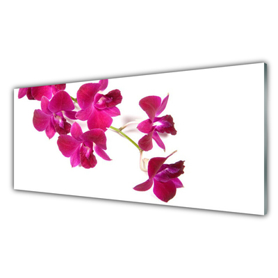 Tableaux sur verre Fleurs floral rouge