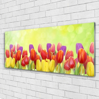 Tableaux sur verre Tulipes floral jaune rouge rose