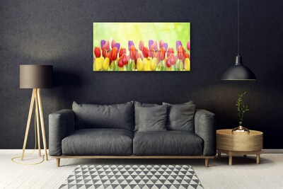 Tableaux sur verre Tulipes floral jaune rouge rose