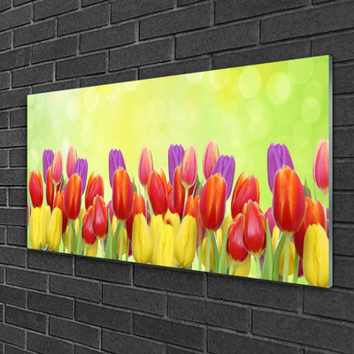 Tableaux sur verre Tulipes floral jaune rouge rose