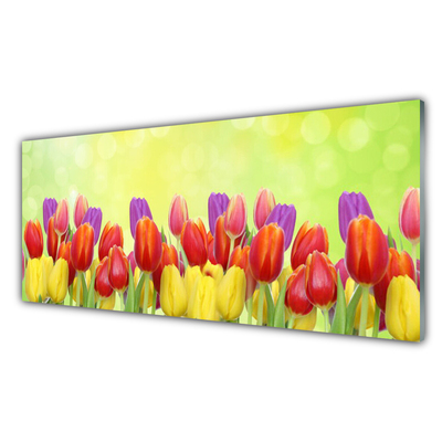 Tableaux sur verre Tulipes floral jaune rouge rose