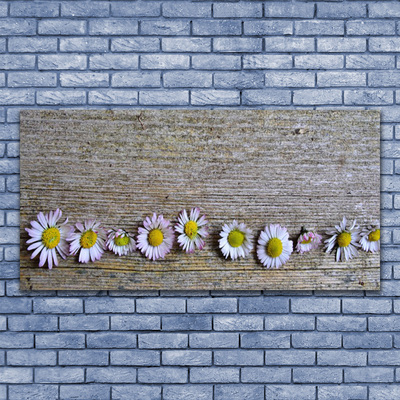 Tableaux sur verre Marguerite floral jaune blanc rose