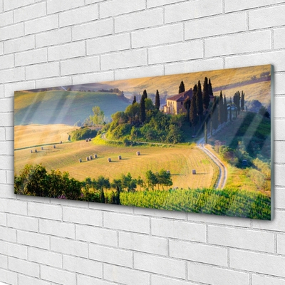 Tableaux sur verre Arbres champ paysage vert brun