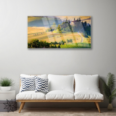 Tableaux sur verre Arbres champ paysage vert brun