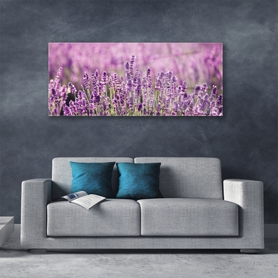 Tableaux sur verre Fleurs floral rose