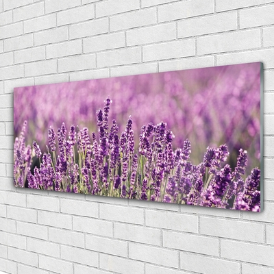 Tableaux sur verre Fleurs floral rose