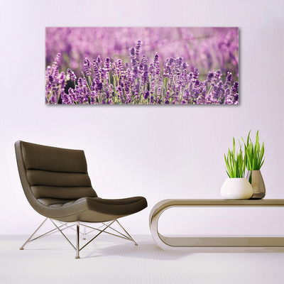 Tableaux sur verre Fleurs floral rose