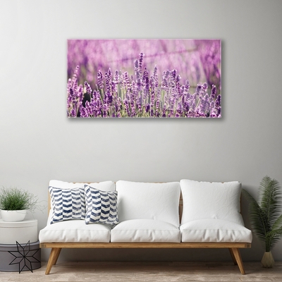 Tableaux sur verre Fleurs floral rose