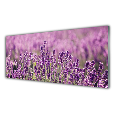 Tableaux sur verre Fleurs floral rose