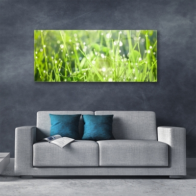 Tableaux sur verre Herbe nature vert