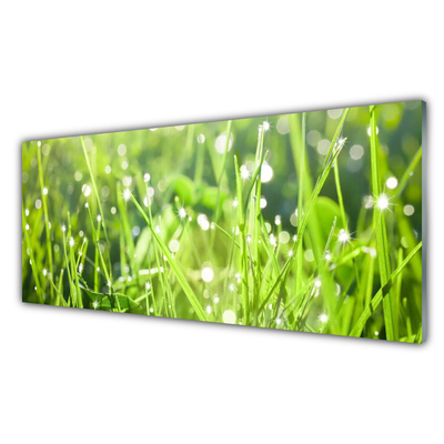 Tableaux sur verre Herbe nature vert