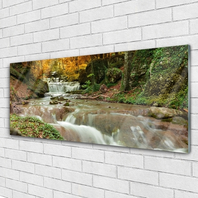 Tableaux sur verre Forêt chute d'eau nature brun vert