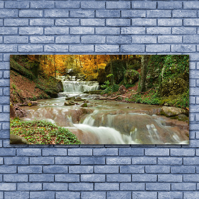 Tableaux sur verre Forêt chute d'eau nature brun vert