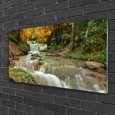 Tableaux sur verre Forêt chute d'eau nature brun vert