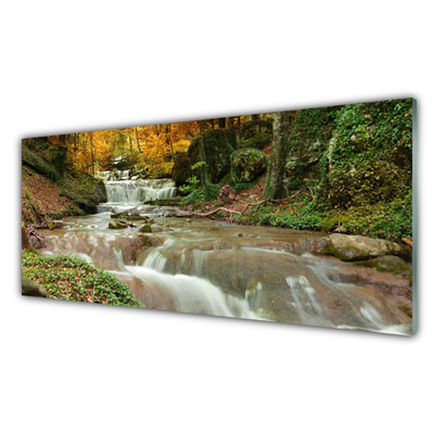 Tableaux sur verre Forêt chute d'eau nature brun vert