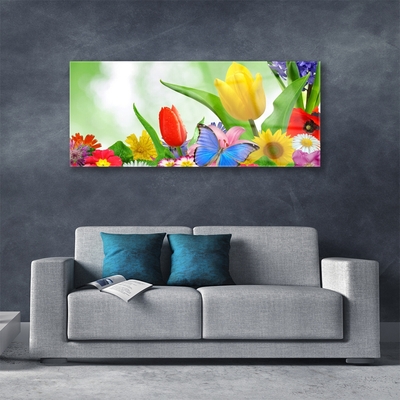 Tableaux sur verre Fleurs papillon nature multicolore