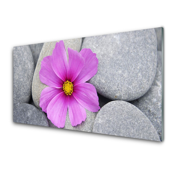 Tableaux sur verre Pierres fleurs floral rose gris