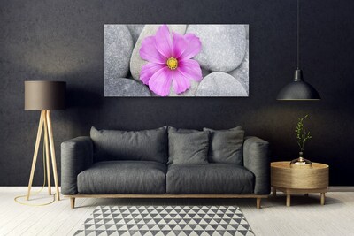 Tableaux sur verre Pierres fleurs floral rose gris