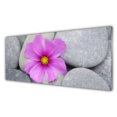 Tableaux sur verre Pierres fleurs floral rose gris