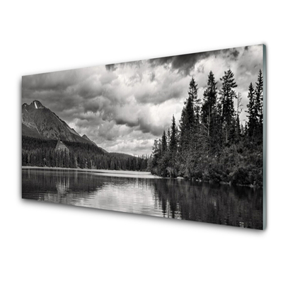 Tableaux sur verre Montagnes forêt lac nature gris