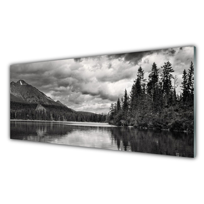 Tableaux sur verre Montagnes forêt lac nature gris