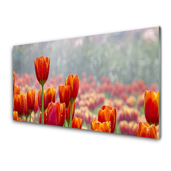 Tableaux sur verre Tulipes floral rouge