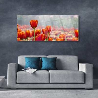 Tableaux sur verre Tulipes floral rouge